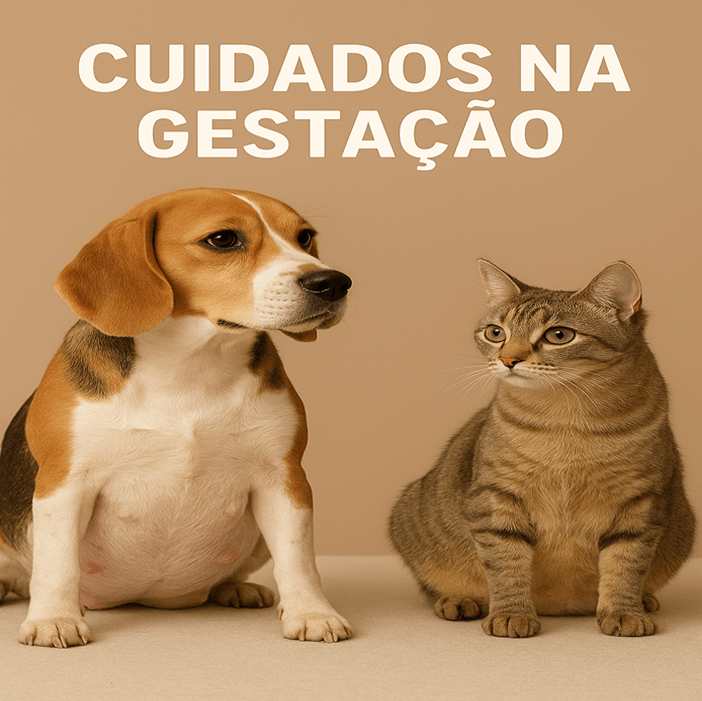 Cuidados na Gestação de Cães e Gatos