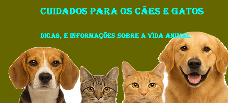 CUIDADOS PARA CÃES E GATOS